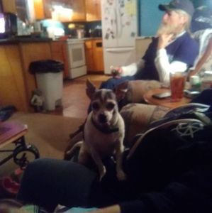 Meet your Posher, Jessica